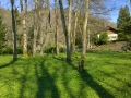 Blick von Teichwiese auf Haus.jpg